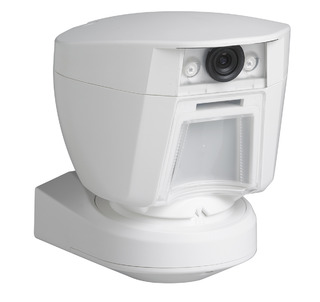 DSC PG9944