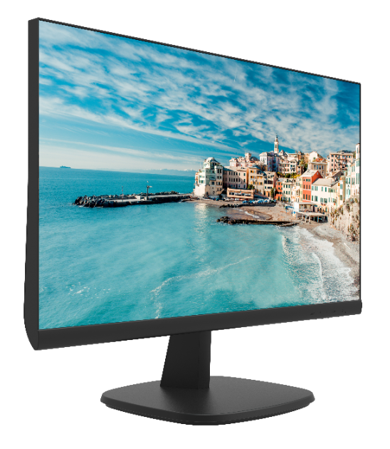 Hikvision DS-D5024FN