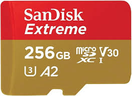 SanDisk SDSQXA1-256G-GN6MN Carte mémoire microSDXC UHS-I 256