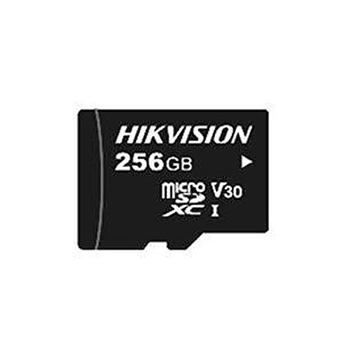 Hikvision HS-TF-L2/256G/P