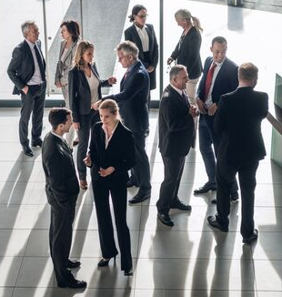 Gallagher LICENSE VISITOR MNGT