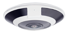 Eagle Eye Camera DF04 Fisheye 12Mpix, NDAA, IR, IP66, POE, DWDR, Microphone, SD Card, AudioI/O, AlarmI/O, EEVMS ONLY